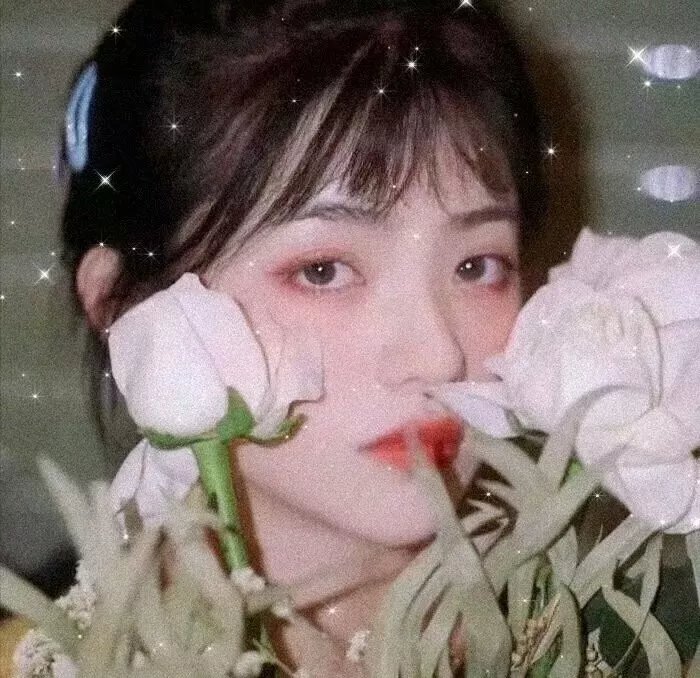 流浪汉与小灵精